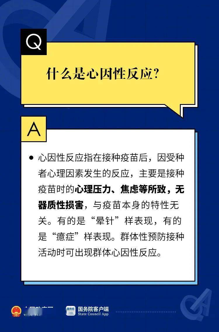 2024新澳门红姐论坛--精选解释解析落实,新澳门红姐论坛，解析精选策略与落实行动的重要性