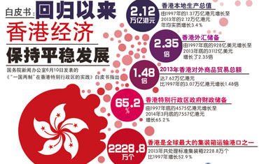 2024香港正版资料免费大全精准--精选解释解析落实,探索香港资讯，2024香港正版资料免费大全精准解析与落实策略