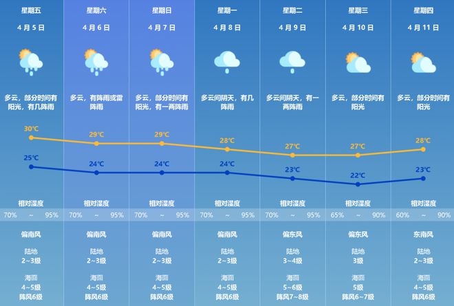 2024年天天彩资料免费大全--精选解释解析落实,2024年天天彩资料免费大全——精选解析与落实策略