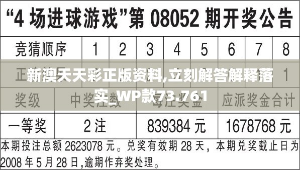 2024年新溪门天天开彩--精选解释解析落实,新溪门天天开彩，解析与落实策略展望