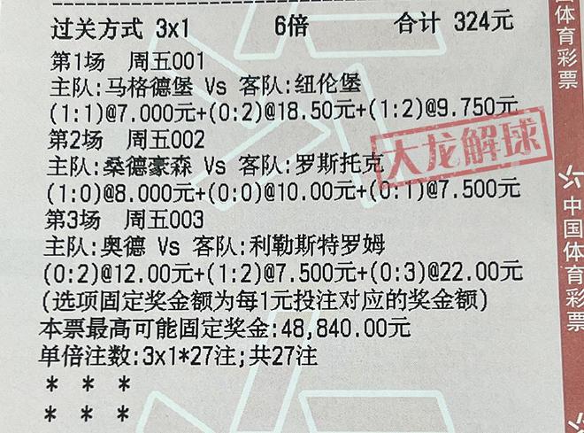 2024澳门特马今晚开奖一--精选解释解析落实,解析澳门特马开奖，精选策略与落实行动的重要性