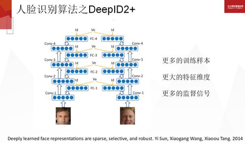 2024香港正版资料免费看--精选解释解析落实,探索香港资讯，2024年正版资料的免费获取与深度解析