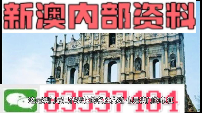 2024新澳门资料免费长期--精选解释解析落实,新澳门资料解析与长期落实策略（2024版）