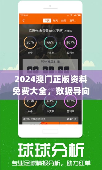 2024年新澳门王中王免费--精选解释解析落实,揭秘2024新澳门王中王免费精选解析落实策略