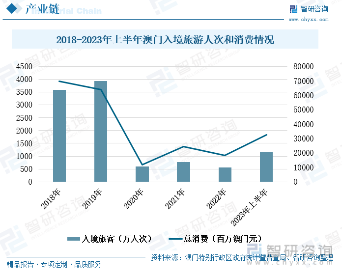 2024澳门天天开好彩大全--精选解释解析落实,澳门未来展望，解析2024天天开好彩背后的奥秘与策略落实