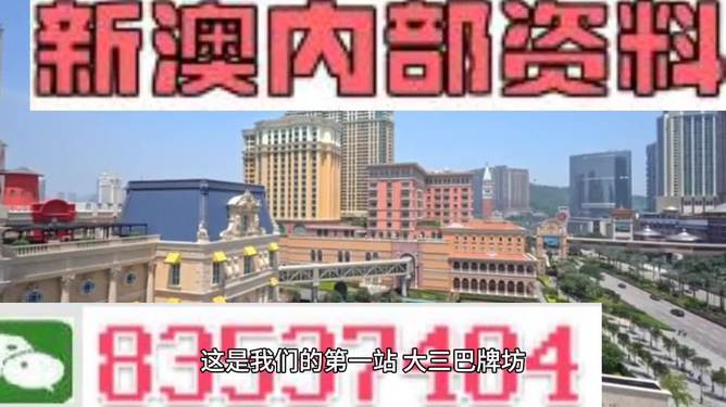 2024新澳门正版免费正题--精选解释解析落实,解析新澳门正版免费正题——精选解释与落实策略