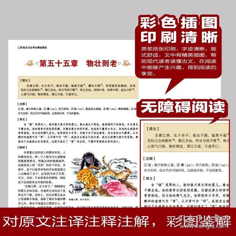 正版资料免费大全精准--精选解释解析落实,正版资料免费大全精准，精选、解释、解析与落实