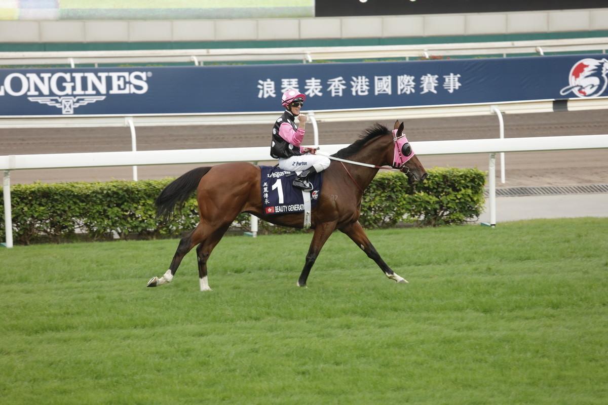 香港赛马免费公开资料大全--精选解释解析落实,香港赛马免费公开资料大全，精选解析与落实的深度探讨