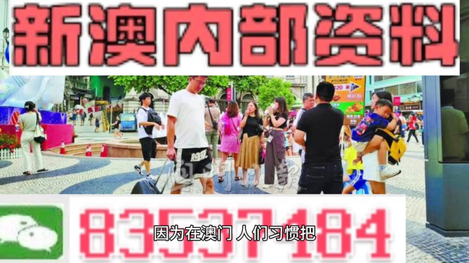 2024年新澳精准资料免费提供--精选解释解析落实,揭秘2024年新澳精准资料，精选解析落实与免费提供的深度探索