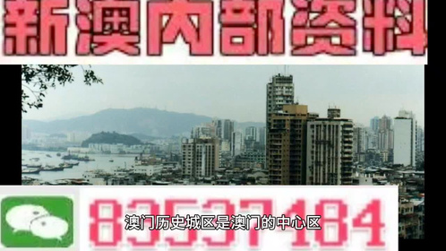 2024新澳门精准免费大全--精选解释解析落实,揭秘2024新澳门精准免费大全——深度解析与落实之道