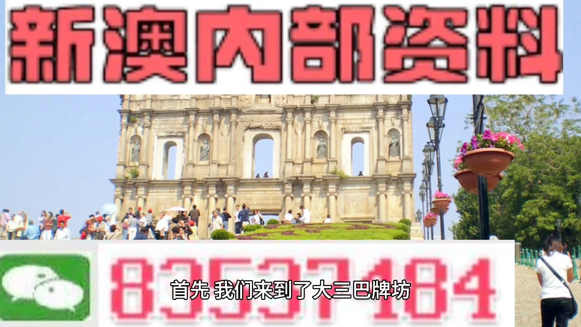 2024新澳门六肖--精选解释解析落实,新澳门六肖解析与落实策略展望（精选解释解析篇）