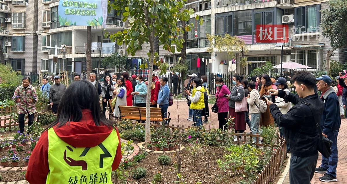 草遛社区最新手机地址,草遛社区最新手机地址——探索社区发展新动向